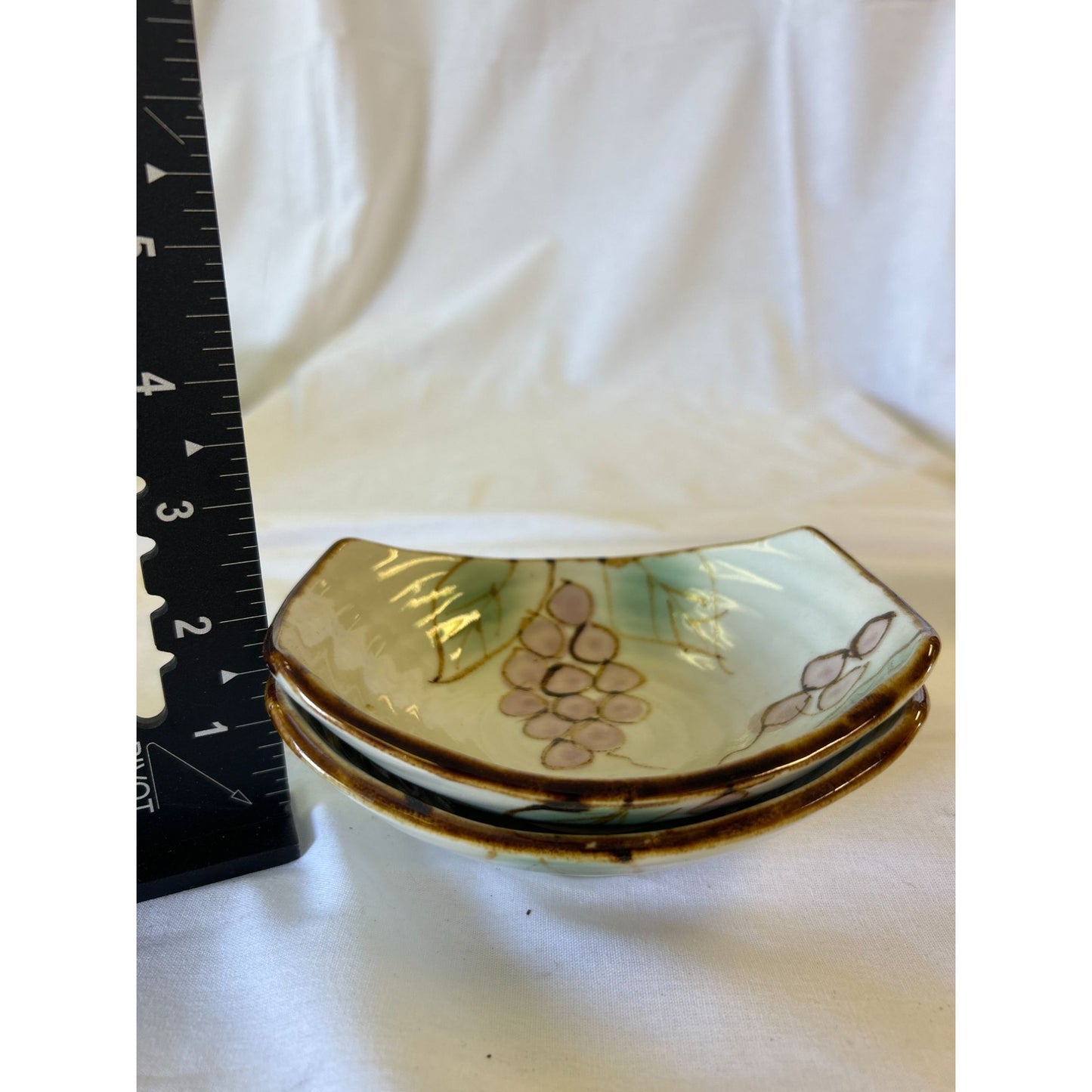 Handcrafted Ceramic Grapevine Patterned Dish Set - 2-Piece Decorative Plates