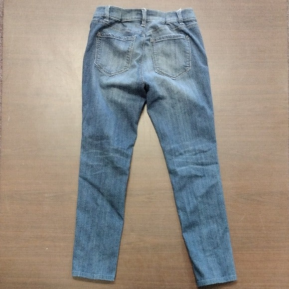 Ann Taylor Blue Skinny Jeans Classic Fit