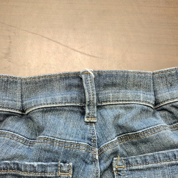 Ann Taylor Blue Skinny Jeans Classic Fit