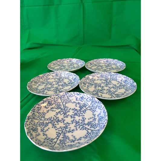 Set Of 5 Blue & White Ceramic Plates With Floral Pattern