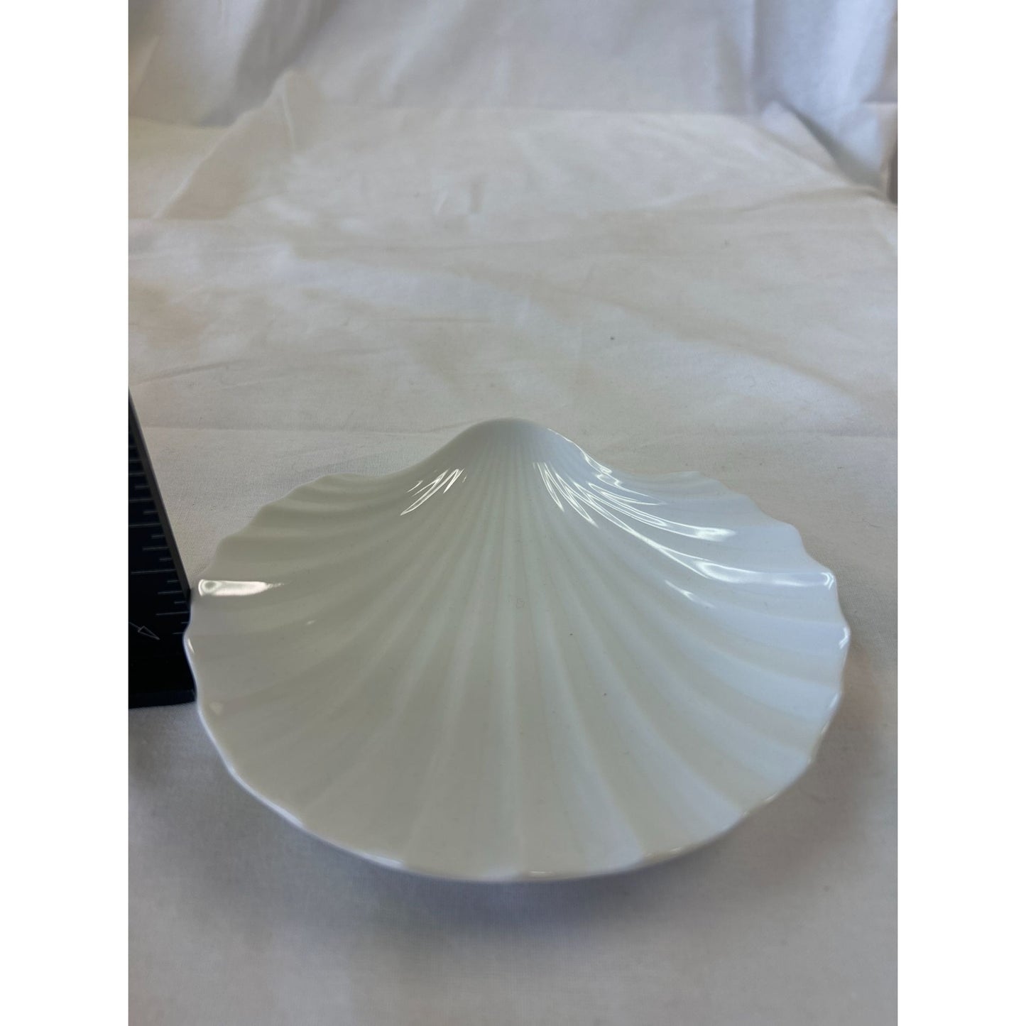 White Ceramic Shell-Shaped Decorative Dish 8" Coastal Nautical Theme Home Decor